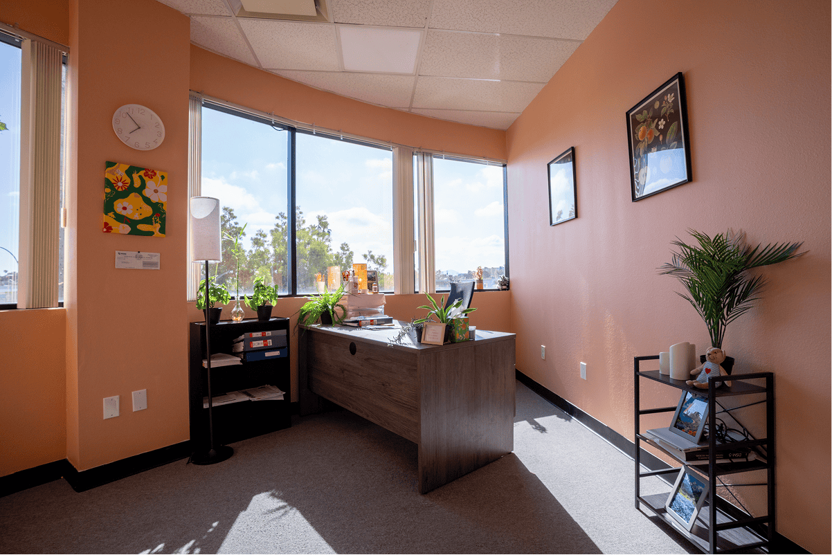 Bright therapy room with large windows and calming decor for mental health treatment.